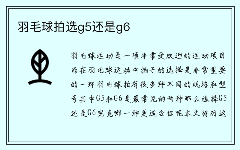 羽毛球拍选g5还是g6