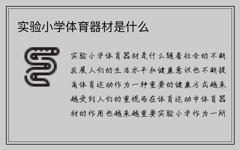 实验小学体育器材是什么