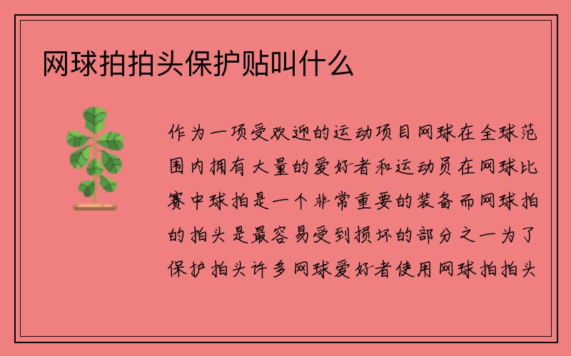 网球拍拍头保护贴叫什么